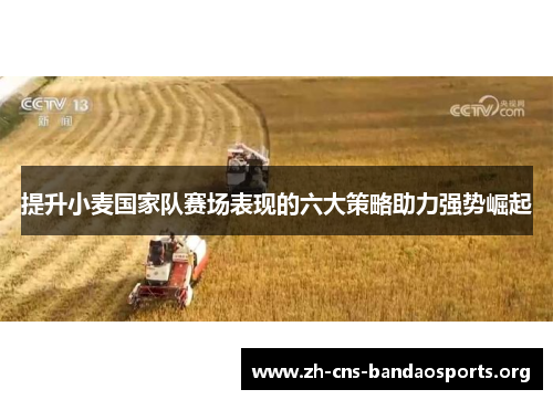 提升小麦国家队赛场表现的六大策略助力强势崛起