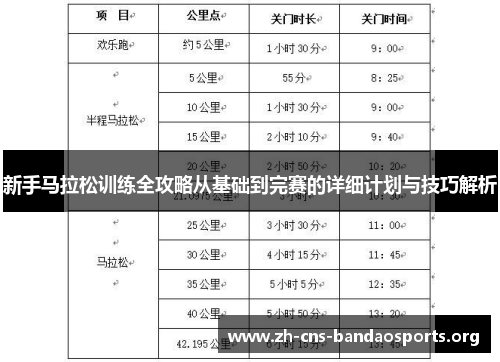 新手马拉松训练全攻略从基础到完赛的详细计划与技巧解析