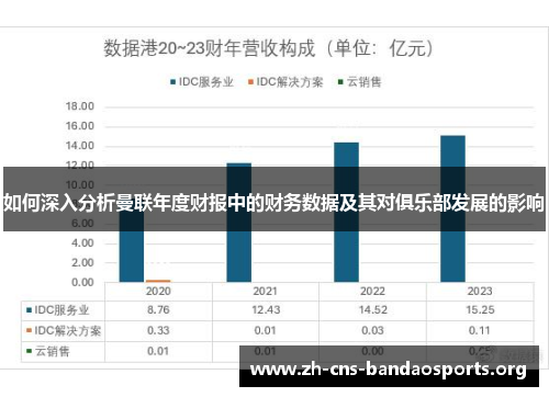 如何深入分析曼联年度财报中的财务数据及其对俱乐部发展的影响
