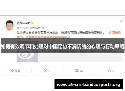 如何有效调节和处理对中国足协不满情绪的心理与行动策略