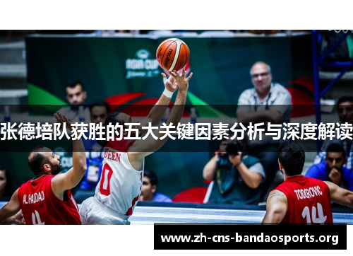 张德培队获胜的五大关键因素分析与深度解读