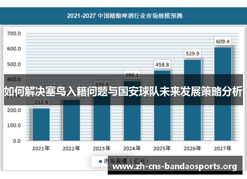 如何解决塞鸟入籍问题与国安球队未来发展策略分析