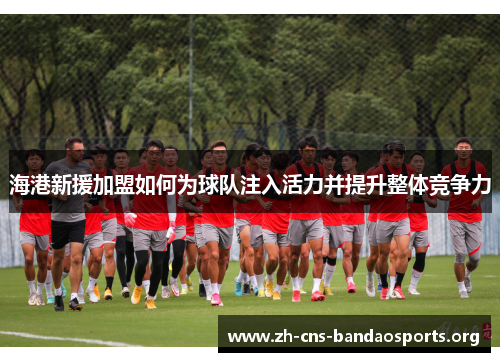 海港新援加盟如何为球队注入活力并提升整体竞争力