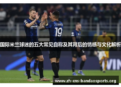 国际米兰球迷的五大常见自称及其背后的情感与文化解析