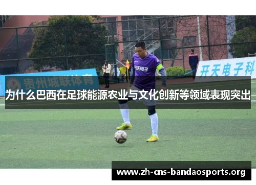 为什么巴西在足球能源农业与文化创新等领域表现突出