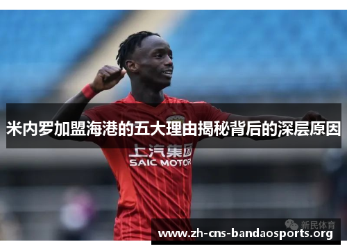 米内罗加盟海港的五大理由揭秘背后的深层原因
