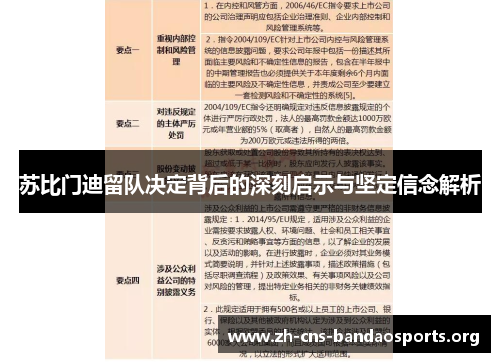 苏比门迪留队决定背后的深刻启示与坚定信念解析