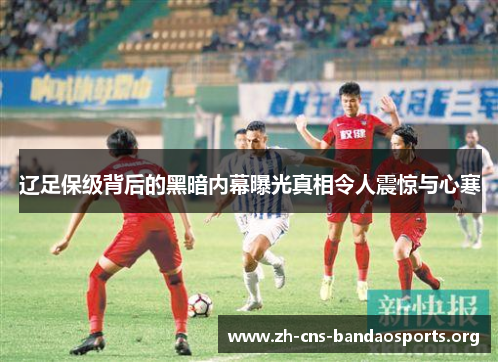 辽足保级背后的黑暗内幕曝光真相令人震惊与心寒 辽足保级背后的黑暗内幕曝光真相令人震惊与心寒