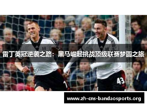 雷丁英冠逆袭之路:黑马崛起挑战顶级联赛梦圆之旅 雷丁英冠逆袭之路:黑马崛起挑战顶级联赛梦圆之旅