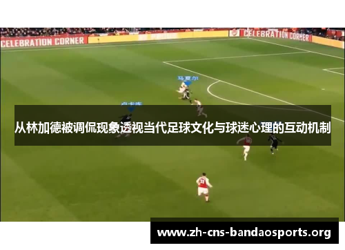 从林加德被调侃现象透视当代足球文化与球迷心理的互动机制 从林加德被调侃现象透视当代足球文化与球迷心理的互动机制