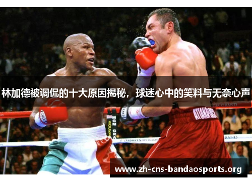 林加德被调侃的十大原因揭秘，球迷心中的笑料与无奈心声