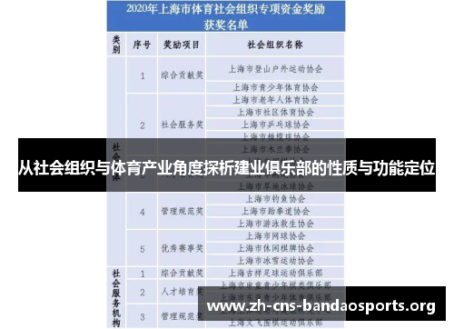 从社会组织与体育产业角度探析建业俱乐部的性质与功能定位 从社会组织与体育产业角度探析建业俱乐部的性质与功能定位