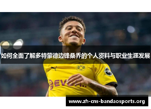 如何全面了解多特蒙德边锋桑乔的个人资料与职业生涯发展