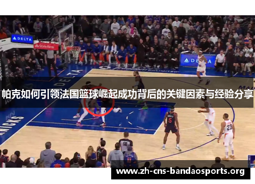 帕克如何引领法国篮球崛起成功背后的关键因素与经验分享