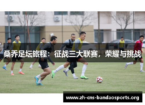 桑乔足坛旅程：征战三大联赛，荣耀与挑战